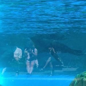 Meet your Posher, Cameron